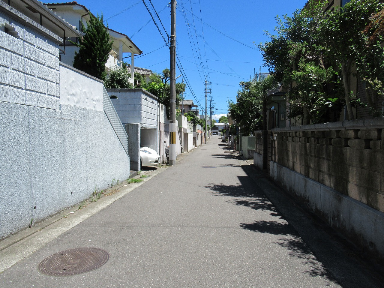 画像5