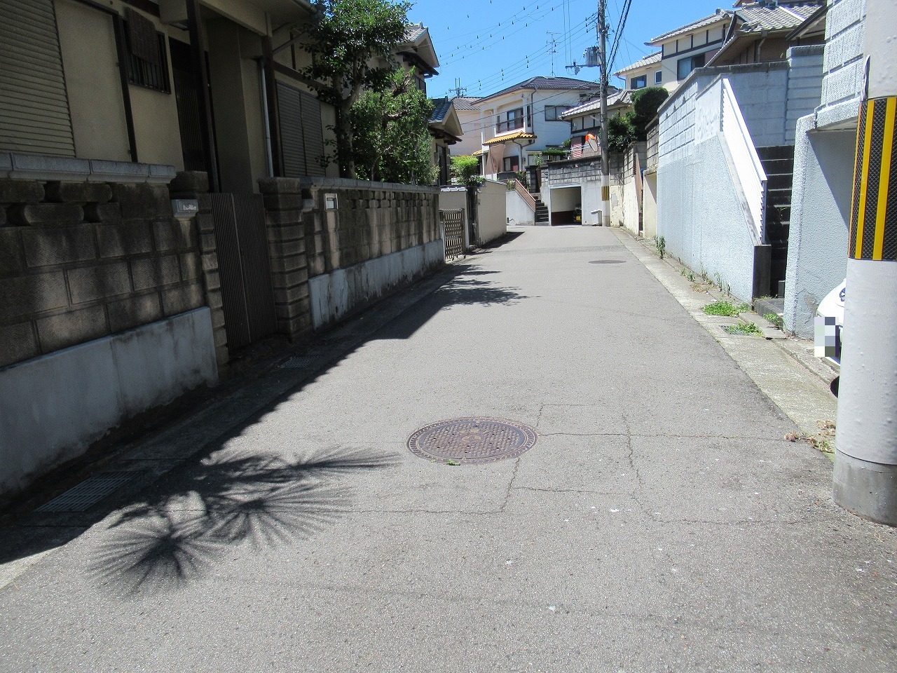 画像6