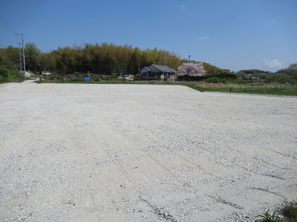 画像5