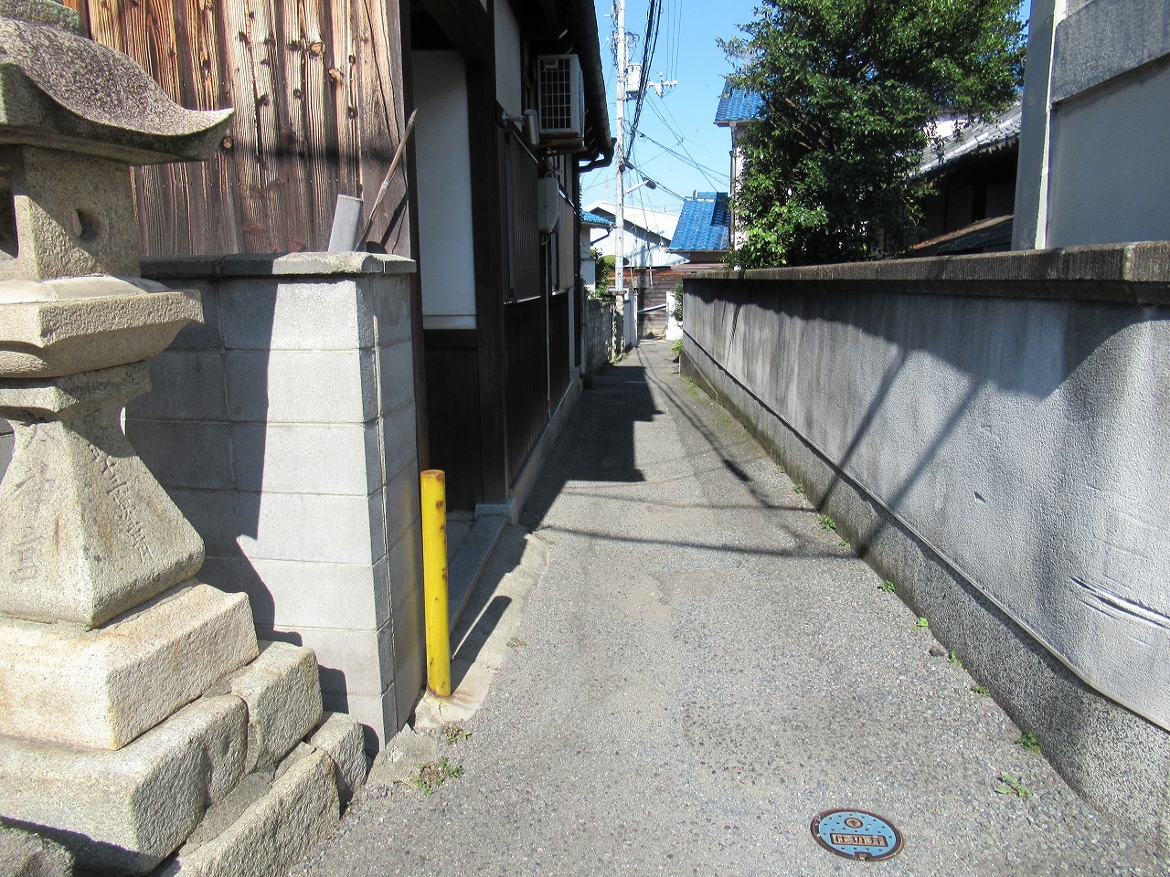 画像7
