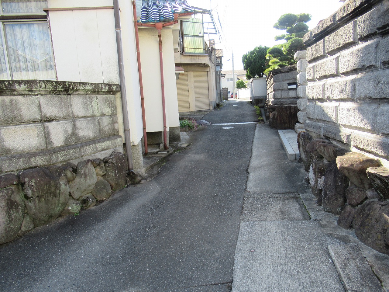 画像5