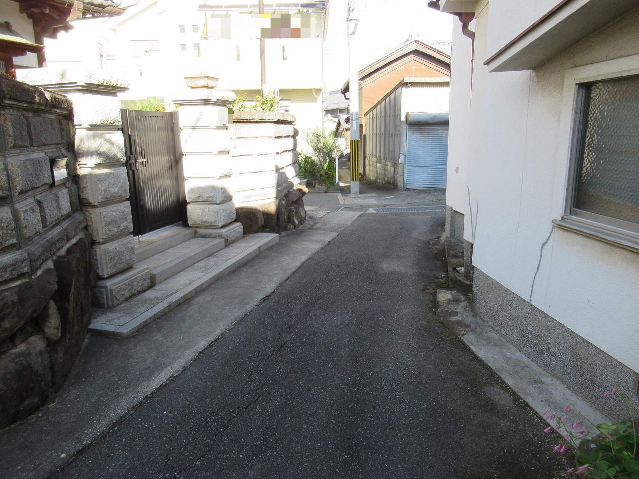 画像7