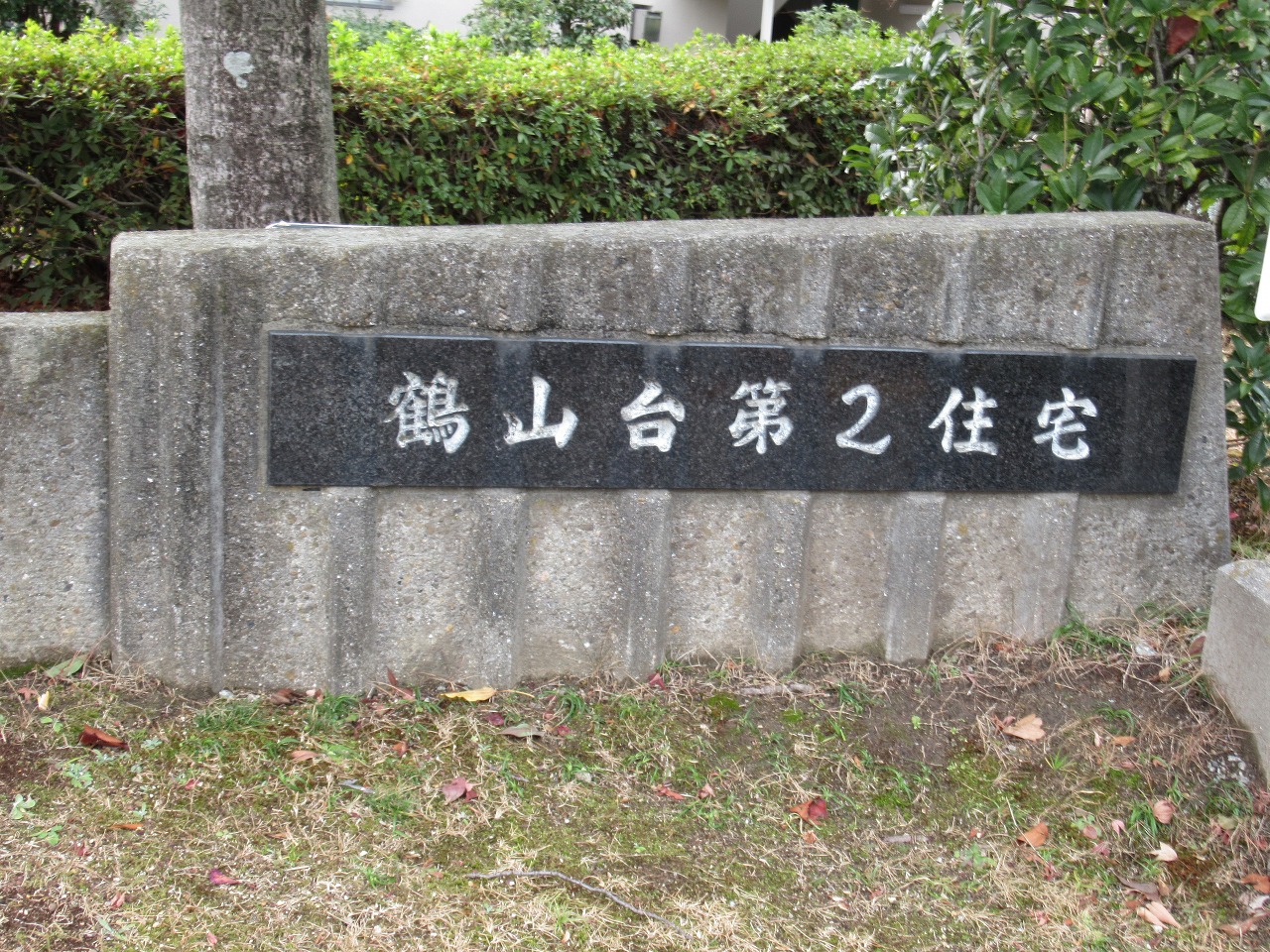 画像13