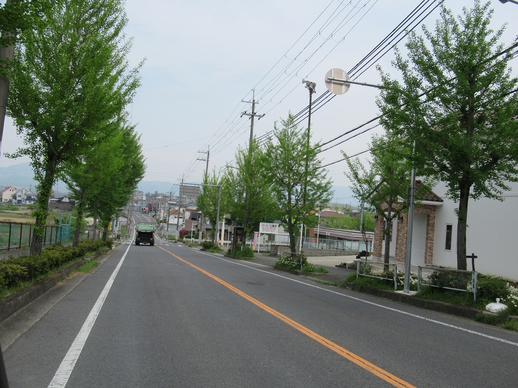 画像15